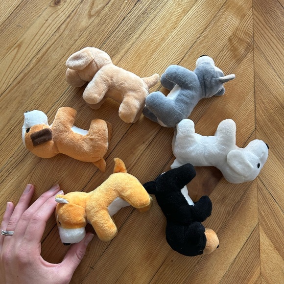 Adopt a puppy party - Picture 2 of 3